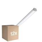 Confezione Multipack 12x Philips Stagna LED WT060C 30W 3600lm - 865 Luce Del Giorno | 120cm